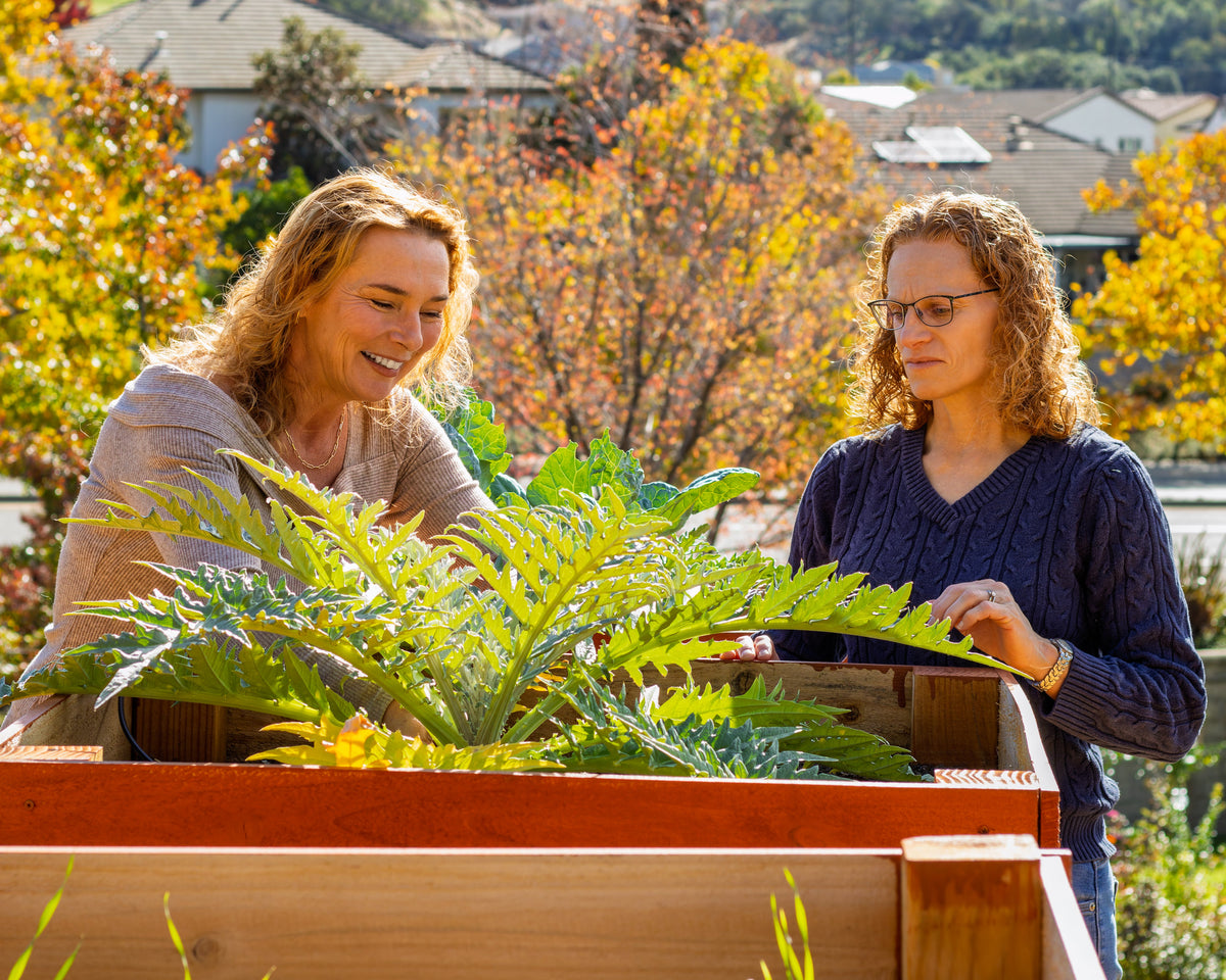 Coaching & Consulting